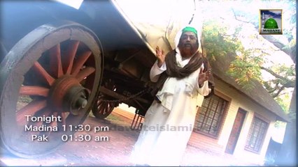 Watch To Veil Or Not To Veil - Islamic Program in English at 01:30 am