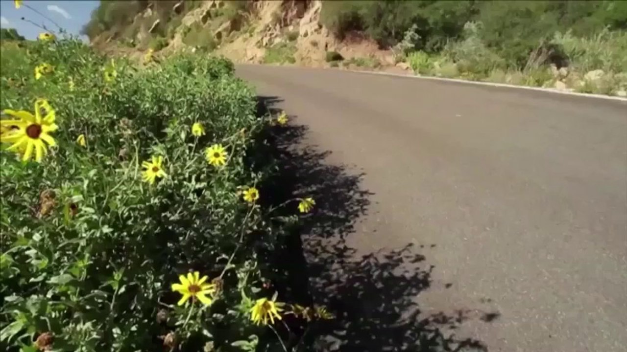 Kyle Chin, incroyable descente en longboard