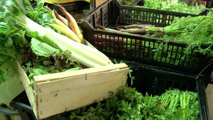 Georgiana chez-vous Lyon