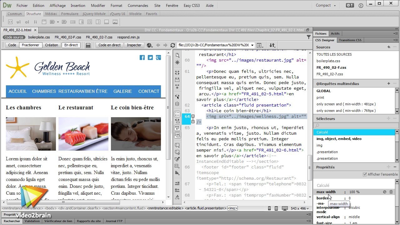Tutoriel Dreamweaver : Qu'est-ce que le code navigateur ? | video2brain.com