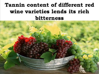 Choose Your Type of Red Wine
