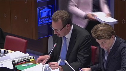 fusion comités théodule PJL formation professionnelle