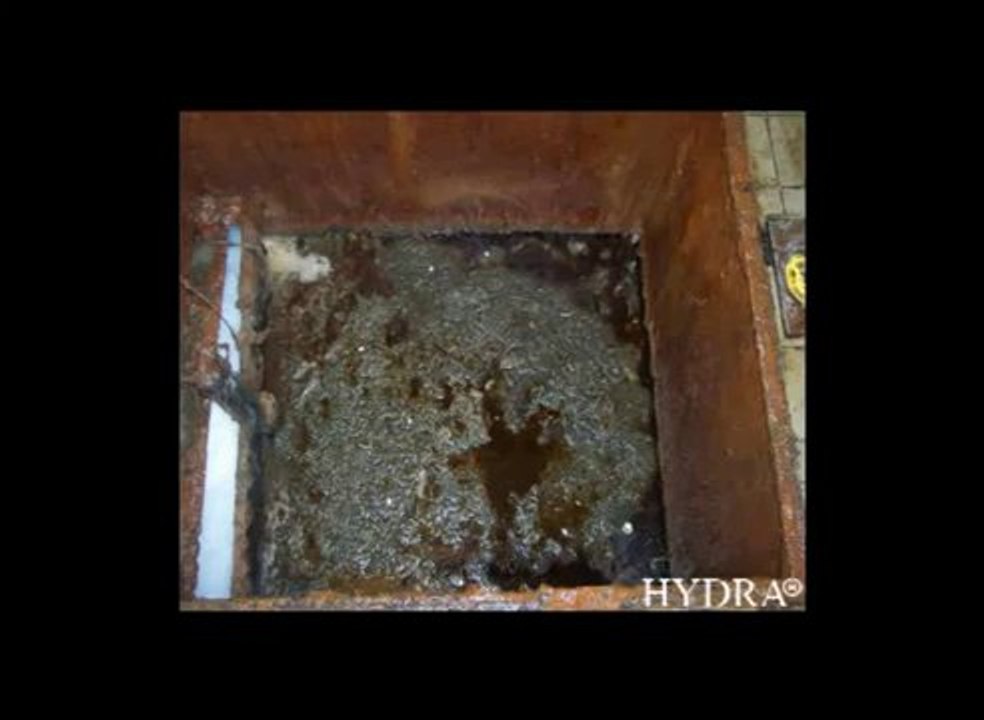 Hydra Grease-Eater Liquid for cleaning grease traps