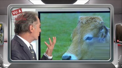 ZAPPING TV Télématin du 19 octobre 2013