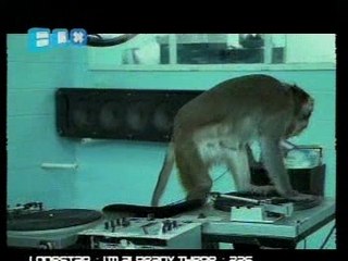 Basement Jaxx - Where's Your Head At