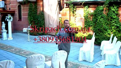 Скрипка Киев