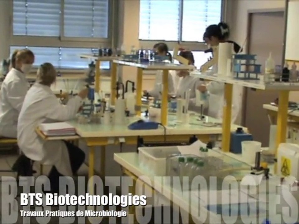 Formation BioSciences Lycée Marie CURIE-MARSEILLE - Vidéo Dailymotion