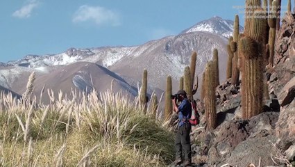 Trekking, Désert d'Atacama - Voyage au Chili