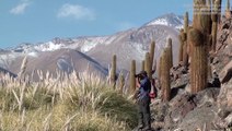 Trekking, Désert d'Atacama - Voyage au Chili