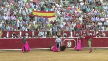 Novillada del 16 de Septiembre - Feria Taurina de Albacete 2013