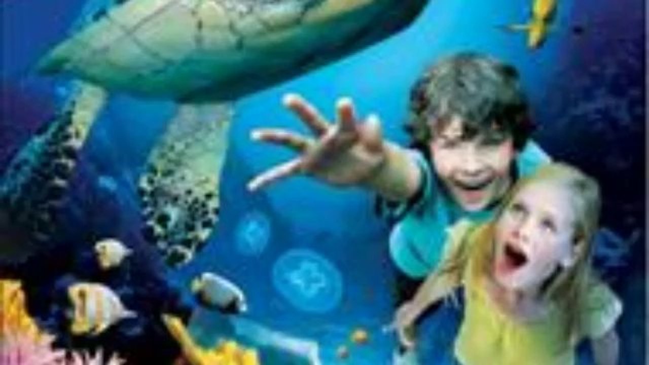 Sea Life London aquarium Pimlico London