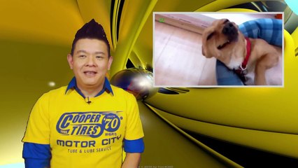 The SharkShows ตอนที่ 102