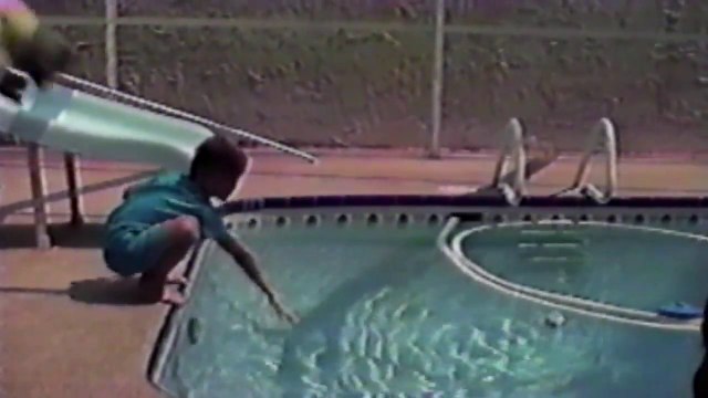 Cats are not really friendly! Animals Being Jerks compilation