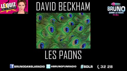 Le Quiz de Christina : Les phobies de Star