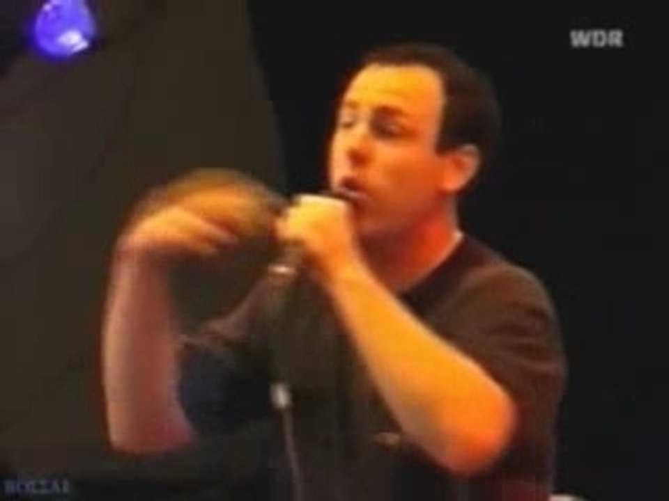 bad religion - along the way