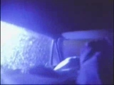 bad religion - infected