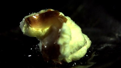 Popcorn poping Macro slow motion!