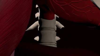 الخلايا الجذعية