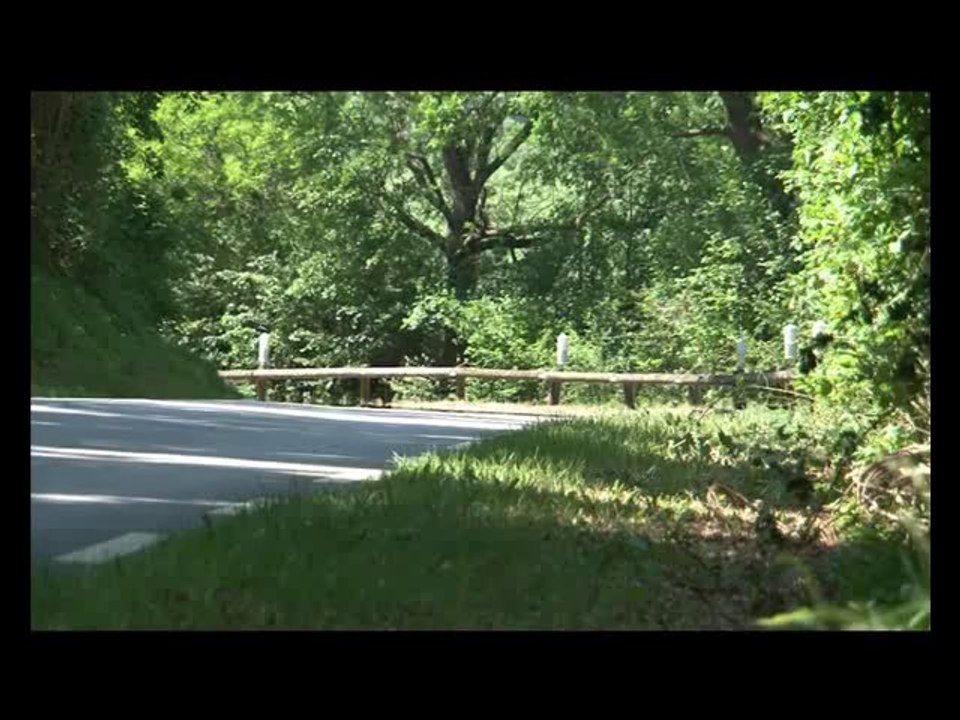 Essai Ford Focus RS500 : Rock star