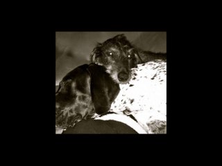 Bill Kaulitz World Project : The Friends of Little Girl