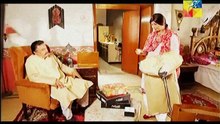 Kissay Apna Kahain Episode 4 By HUM TV - 30th January 2014
