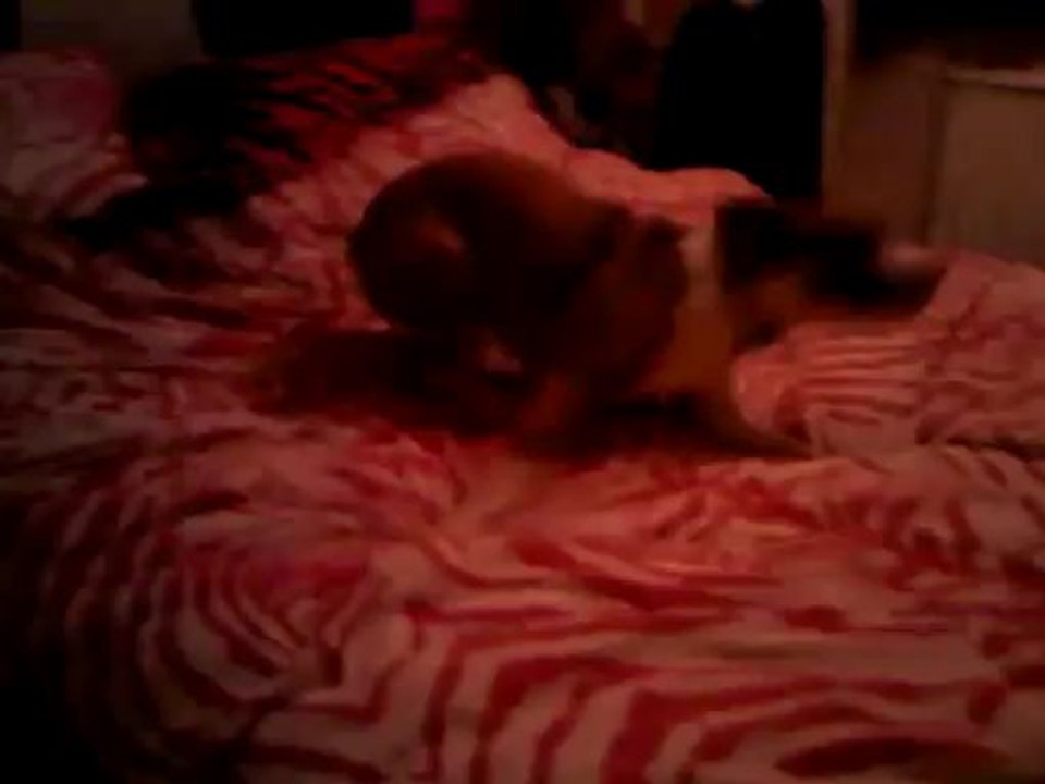 VID-20140130-00527