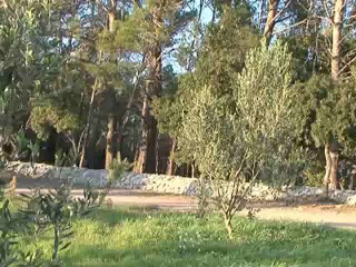 Toyota Land Cruiser 3.0 D-4D 173 ch Lounge