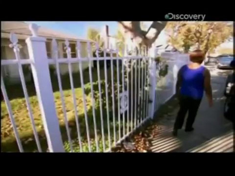 La guerre des gangs à Oakland (Californie), Reportage 2013