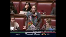 Roma - Camera - 17° Legislatura - 157° seduta (22.01.14)