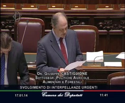 Roma - Camera - 17° Legislatura - 154° seduta (17.01.14)