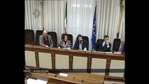 Roma - Audizioni di rappresentanti di AIDAC (15.01.14)