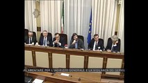 Roma - Audizioni di Confindustria radio televisioni e Donne in quota (08.01.14)