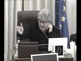 Roma - Audizioni su emergenze ambientali e industriali (07.01.14)