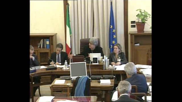 Roma - Commissione ambiente - Stefano Caldoro (27.12.13)