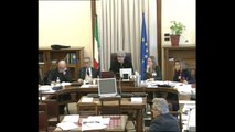 Roma - Commissione ambiente - Rappresentanti ILVA (27.12.13)