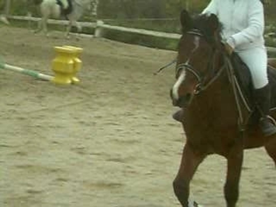 Moi,mn poney and My sister,Lolita