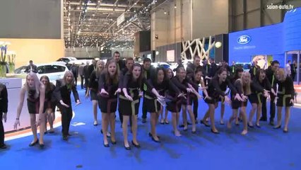 Entretien des voitures au Salon de Genève