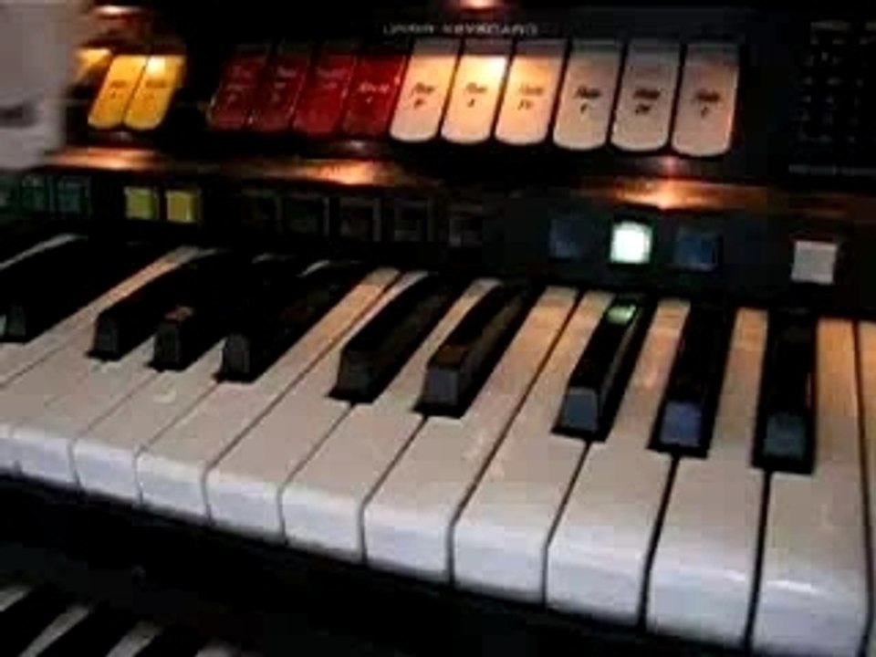 Gatto pianista :)