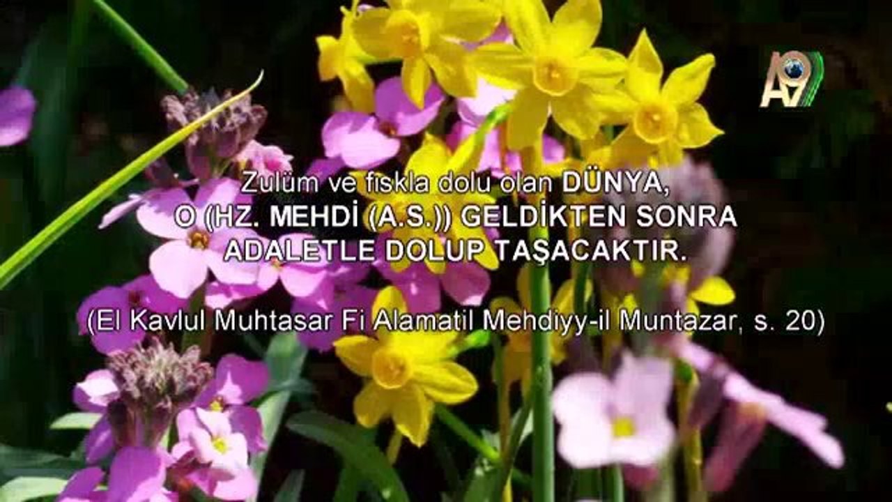 Serap Akıncıoğlu ile Nur'a Yöneliş - 43. Bölüm (Kutuplaşmanın zararları)