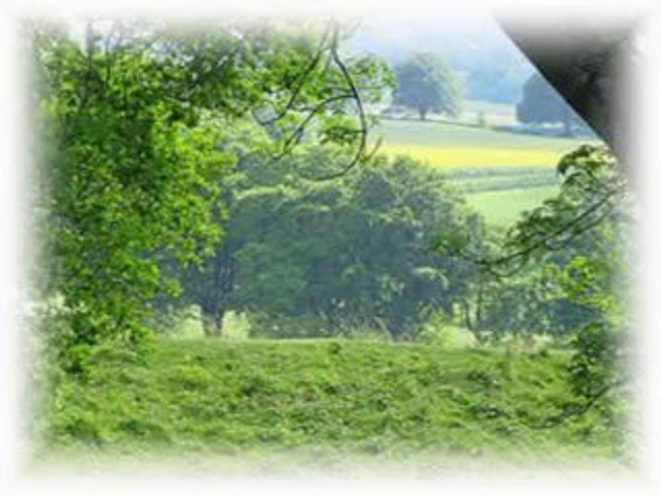 YASIR KHAN PERFORMED THE VOICE OVER on javed akhtar's poem from the movie ZINDAGI NA MILEGI DOBARA.