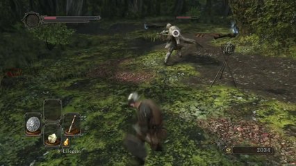 Dark Souls II - Forest of Fallen Giants Gameplay #1