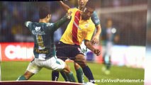 Ver Morelia vs León En Vivo 31 de Enero del 2014 | Liga MX Clausura 2014