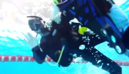 Baseny Politechniki Gdańskiej Pierwsze Nurkowanie Miłki na Dużym Basenie www.argonaut.gda.pl