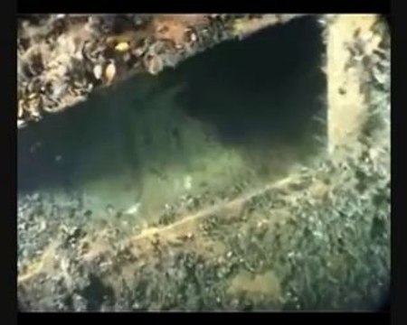 Centrum Nurkowe Tomasz , Yvette i Dawid Dobroczek Sklep Nurkowy PADI w Gdańsku Bałtyk Parowiec Hel