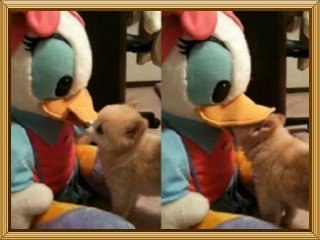 [오피천사닷컴]▶▶[OPANGEL1닷컴]◀◀ ++ 김포오피걸-산본오피걸-신촌오피걸-천호오피걸 ++