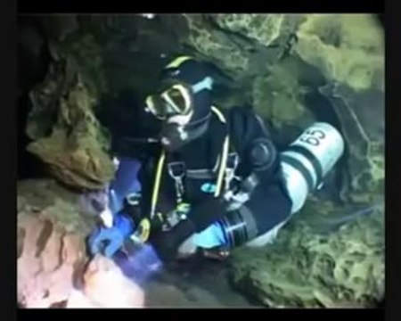 Centrum Nurkowe Tomasz , Yvette i Dawid Dobroczek Sklep Nurkowy PADI w Gdańsku Fontaine Truffe