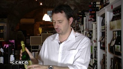 CCBCQ : Fiori di zucca farciti con gamberi tortino