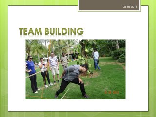 Thrilling adventure activity