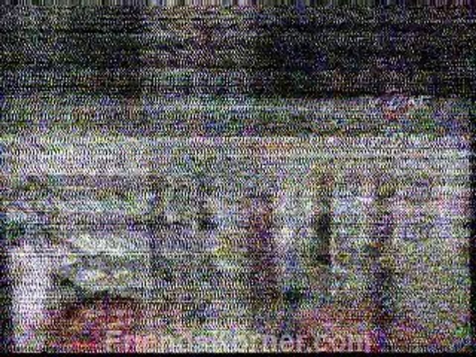 NM 11_clip2