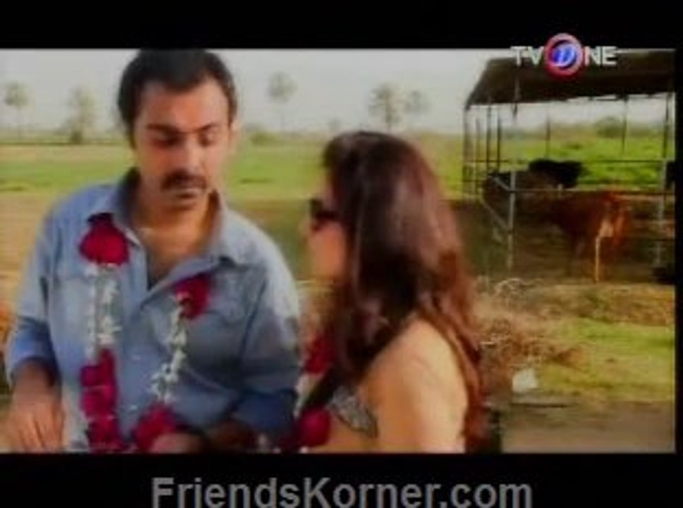 NM 12_clip2